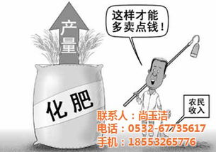 化肥厂 青岛农瑞丰 在线咨询 湖北化肥